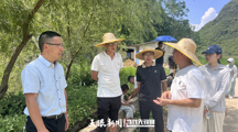 青春实践派｜“乱石窝”怎样变成“活水田”