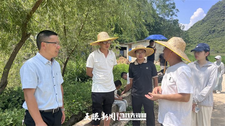 青春实践派｜“乱石窝”怎样变成“活水田”