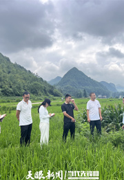 青春实践派｜旱地喝饱水，长顺改出新“稻”路