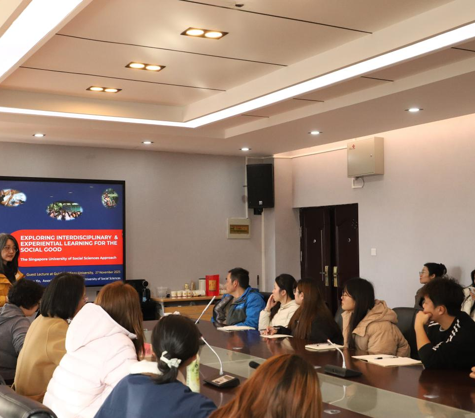 “社会学前沿研究”系列讲座|新加坡社会科学大学 Lim Chern Yin副教授为我院学生开展学术讲座